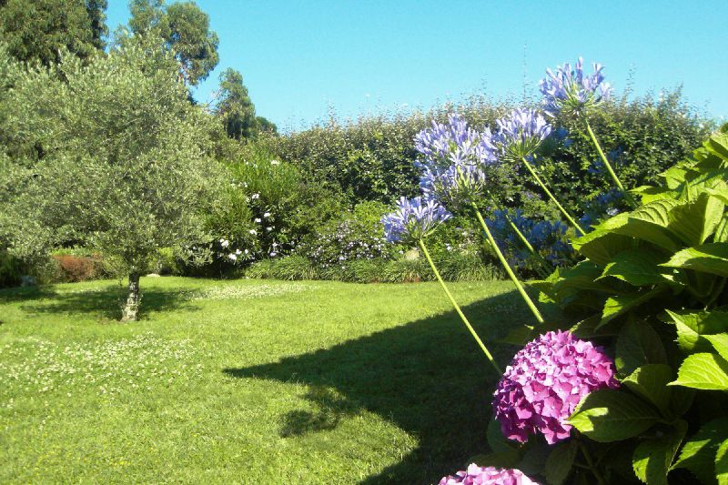 Corse location villa jardin paysagé